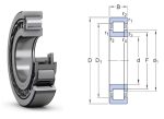   NUP 407 DKF, 35x100x25 mm, Egysoros hengergörgős csapágy, acélkosárral, egyoldalon peremes belső gyűrűvel, és belső támasztó P gyűrűvel