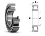   NUP 409 P6 DKF, 45x120x29 mm, Egysoros hengergörgős csapágy, acélkosárral, egyoldalon peremes belső gyűrűvel, és belső támasztó P gyűrűvel