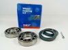 VKBA 599 SKF, Mazda, Volvo, Saab Kerékcsapágy szett, Wheel Bearing Kit, 6302R, 528606, 362357/C3, 