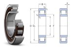  NU 305 ECP SKF, 25x62x17 mm, Egysoros hengergörgős csapágy, poliamid kosárral, és mindkét irányba elmozduló belső gyűrűvel