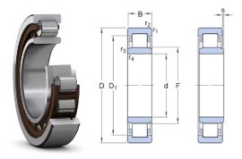 NU 305 ECP SKF, 25x62x17 mm, Egysoros hengergörgős csapágy, poliamid kosárral, és mindkét irányba elmozduló belső gyűrűvel
