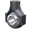 PHE 50 INA (GRAE50NPPB+HE10, UCT 210, YAR 210+ház) 50x145x110 mm, Y-csapágyegység, feszítőcsapágyház egység 50 mm furatátmérőjű hernyócsavaros csapággyal