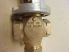 Johnson Controls VA-7200-1001 Aktuátor, Szelepmotor, 3 utas motoros szelep, 24VAC 6,7VA, VG7802LT háromirányú bronz keverőszeleppel, DN 20, 6,3 m3/óra, 2...140 °C, PN 16, 3/4" belső/külső menetekkel, VLV19157M, ERVB20, sérült burkolattal 