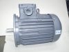 Villanymotor peremes, robbanásbiztos,  3~, 1,5kW, 720rpm, 380V 50Hz, Evig RZR P112M8